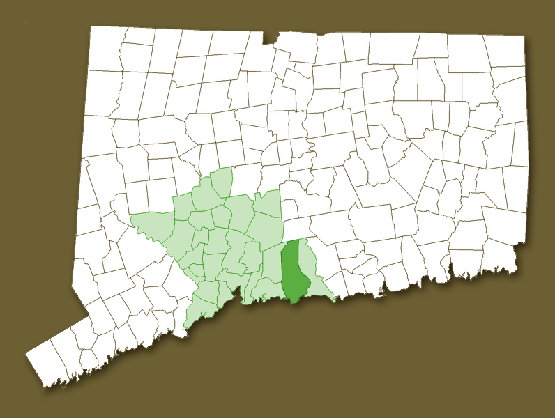 Map of CT with New Haven County and Guilford highlighted